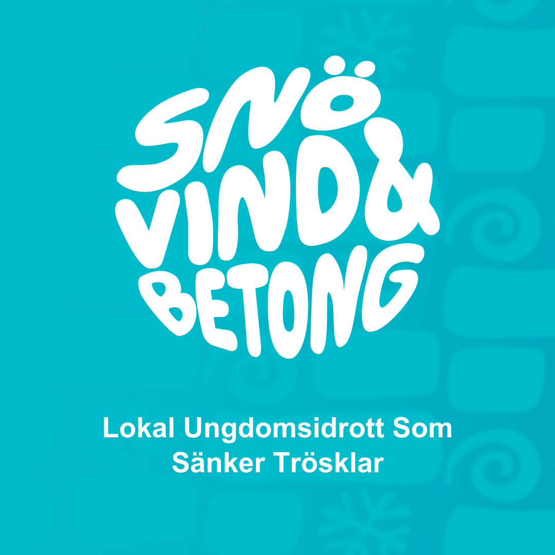 Snö, vind och betong – ett unikt projekt som stärker unga genom idrott, ledarskap och gemenskap i urbana betongmiljöer.