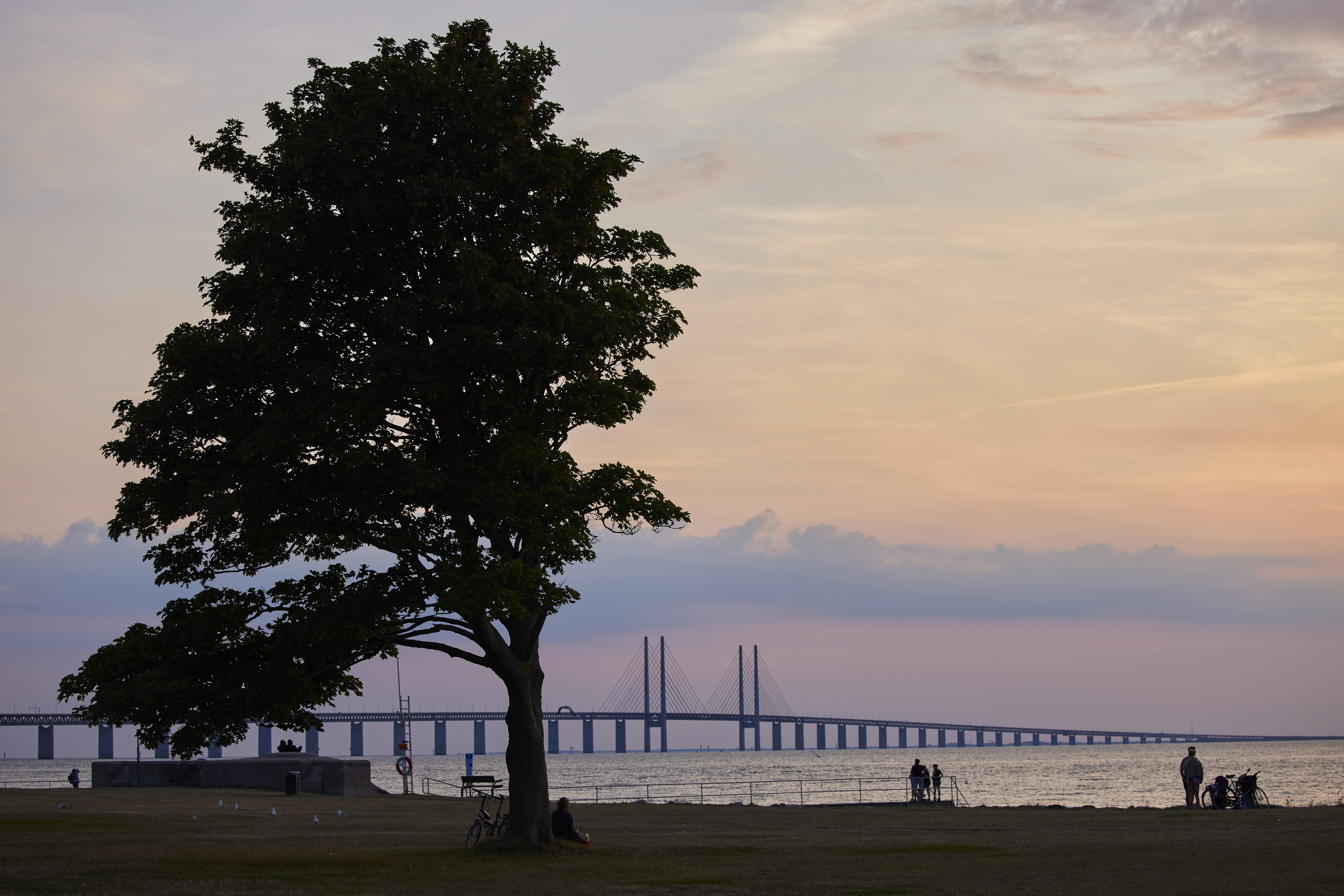 Öresundsbron kan hålla i 200 år enligt ny modellbaserad analys från Lunds universitet. Det bygger på forskning inom Extend.