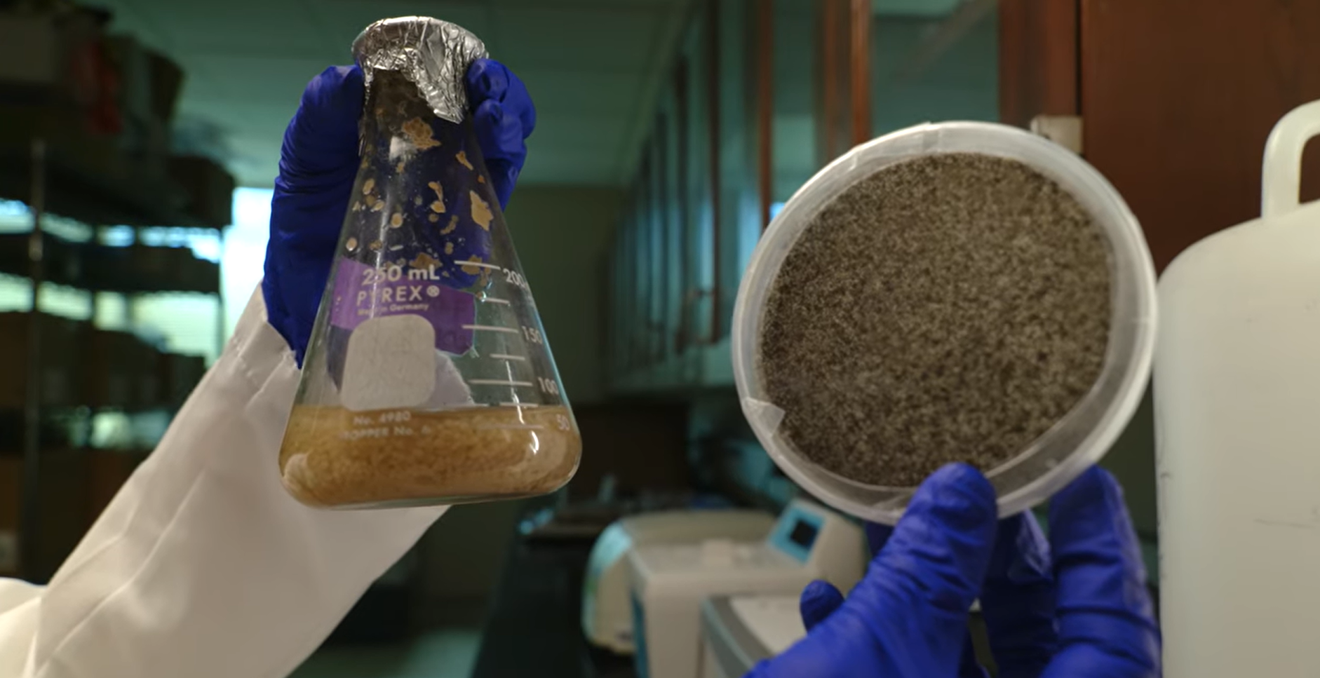 Med hjälp av bakterier och svamp vill forskare ersätta cement genom biomineralisering – ett biologiskt alternativ med låga utsläpp.
