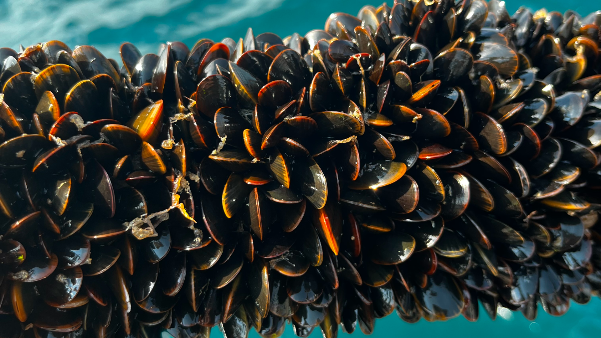 Två nordiska initiativ – från Danmark och Sverige – nomineras till Food Planet Prize 2026 med koppling till bygg och hållbar matförsörjning.