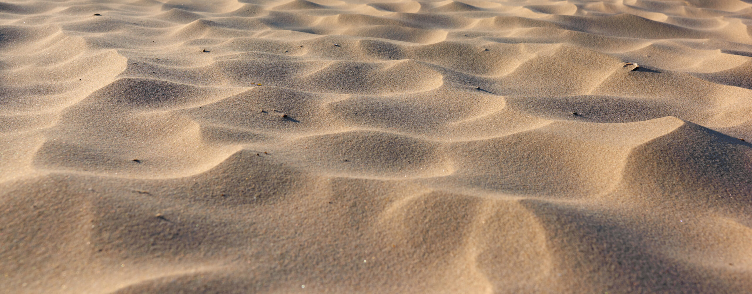 Ökensand i betong? Ny forskning visar hur lokal sand kan minska cementbehov, klimatpåverkan och transporter.