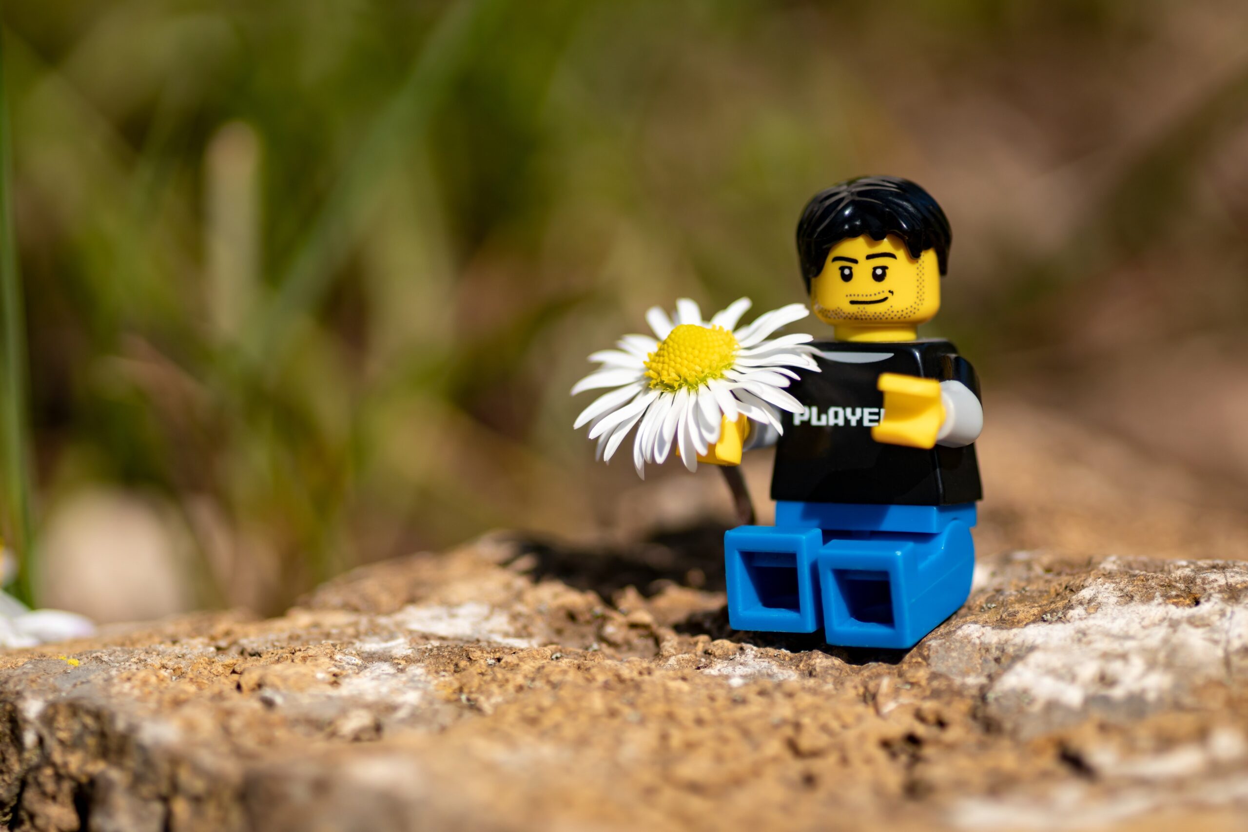En liten blomma på det...? Den här veckan kostar vi på oss att se oförskämt ljust på utvecklingen. (Foto: Pixabay)