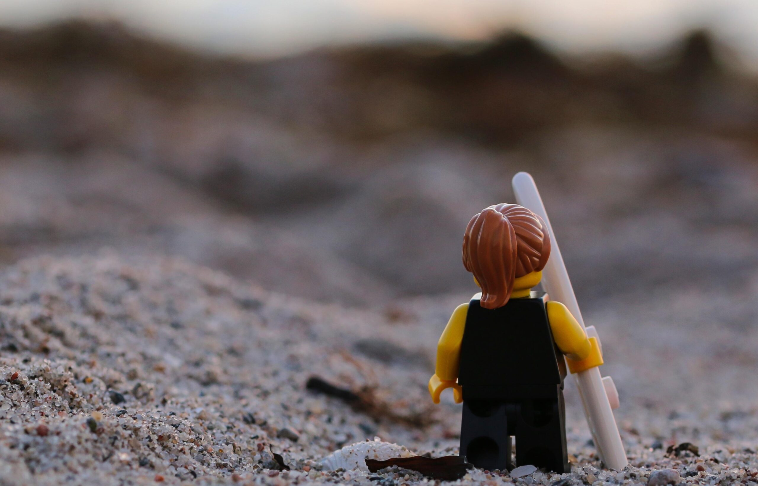 Risk är skiljelinjen mellan allt och inget, vinst och förlust, framsteg och bakslag. Så vem ska ta den? (Foto: Pixabay)